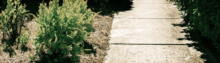 先进且具有开创性的ddos攻击测试