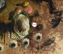 免费ddos压力测试平台