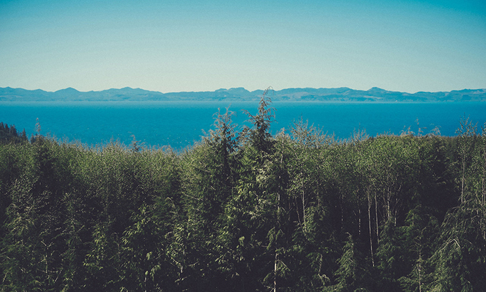 ddos在线攻击测试网站