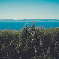 ddos在线攻击测试网站