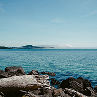 免费版随便用的DDOS网页端